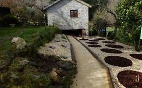 Quinta Da Mata